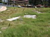 M_2010-07-29_008.JPG